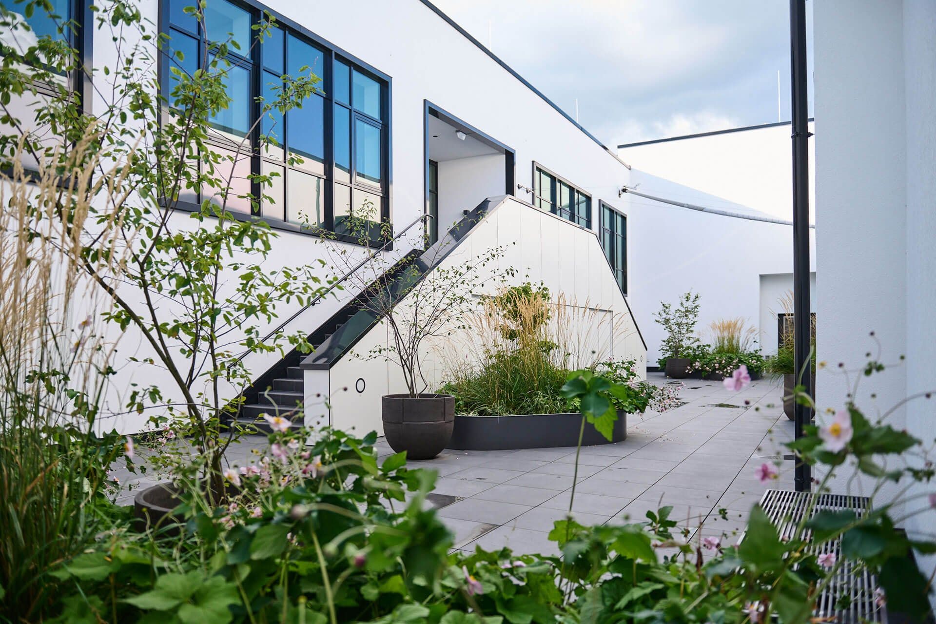 Begrünter Patio im Rhein Sieg Forum mit weißen Wänden, Pflanzkübeln, Gräsern und Keramikkunst an der Fassade