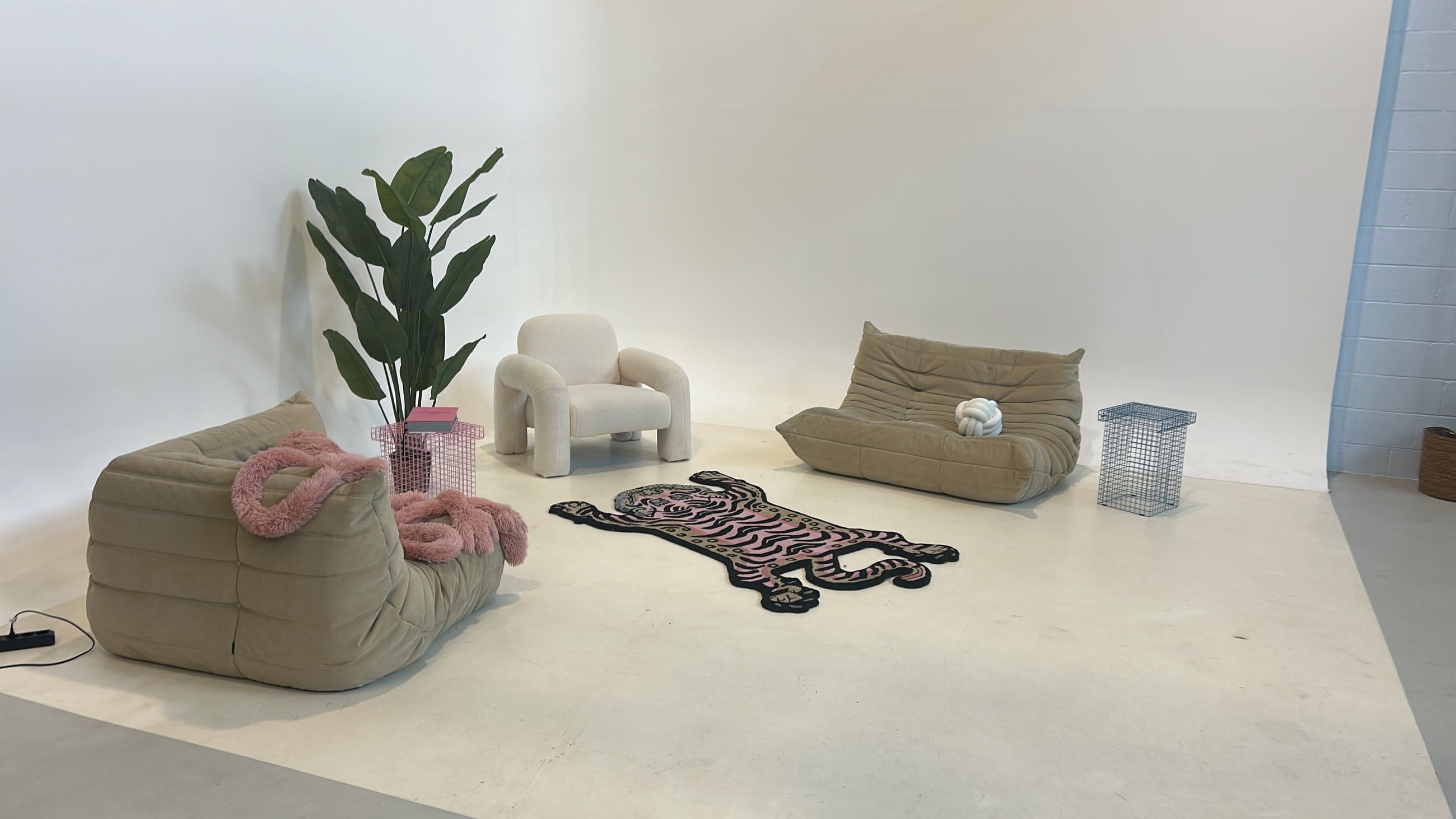 Weiße Hohlkehle im Bauwerk Studio mit hellen Lounge-Sofas, Pflanze und Teppich in Tigeroptik, bereit für ein Interview oder Fotoshooting
