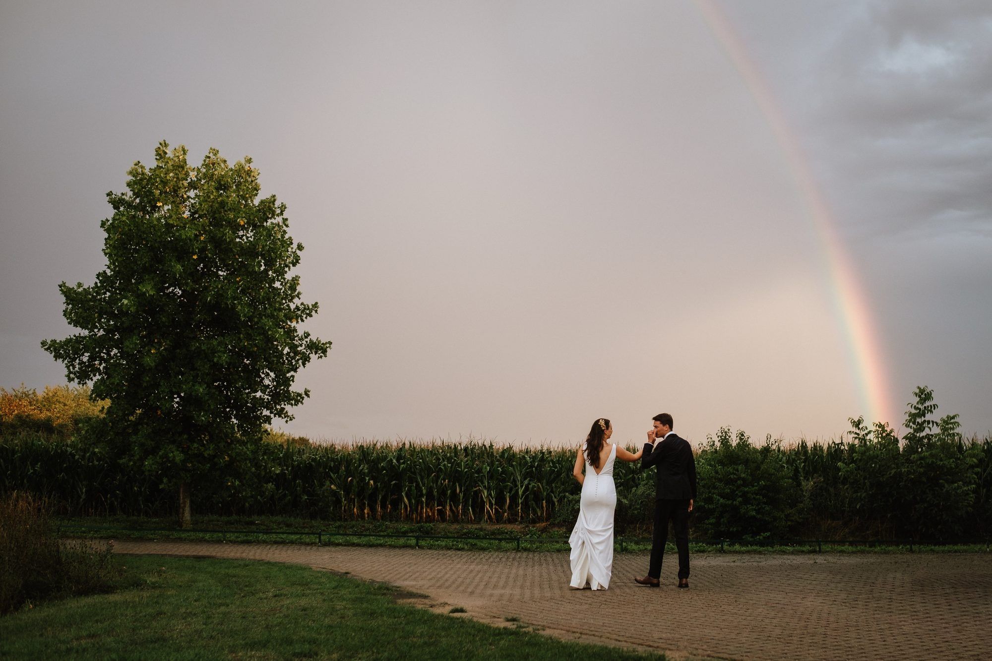 Brautpaar am Abend auf einem Weg vor einem Maisfeld, über dem Feld steht ein Regenbogen, links ein großer Laubbaum